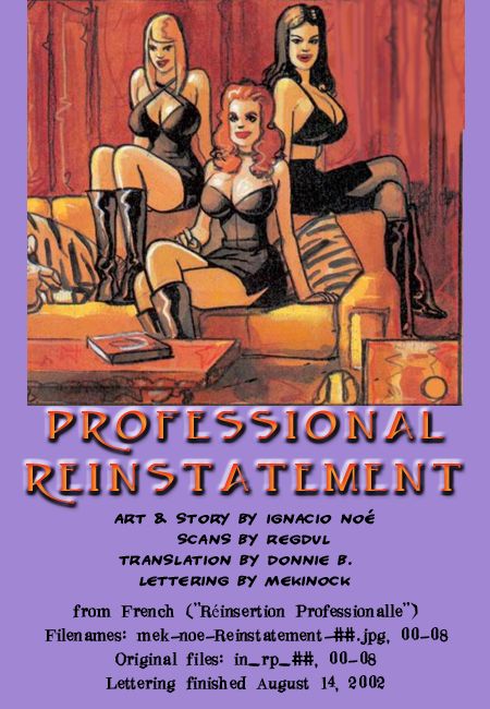 Professional Reinstallment Page 1 Comic Porn XXX