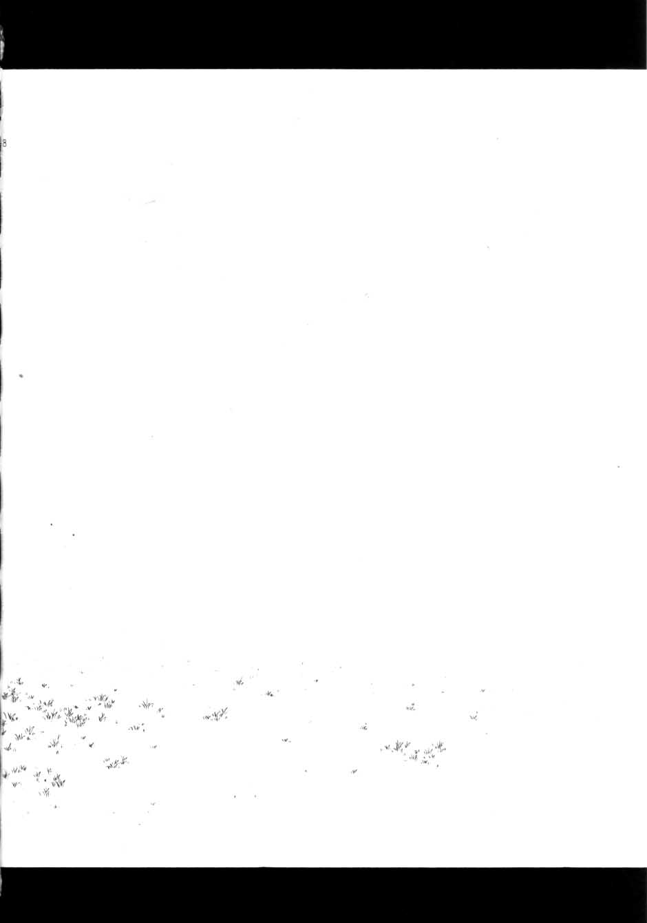 Mitarashi page 6 full
