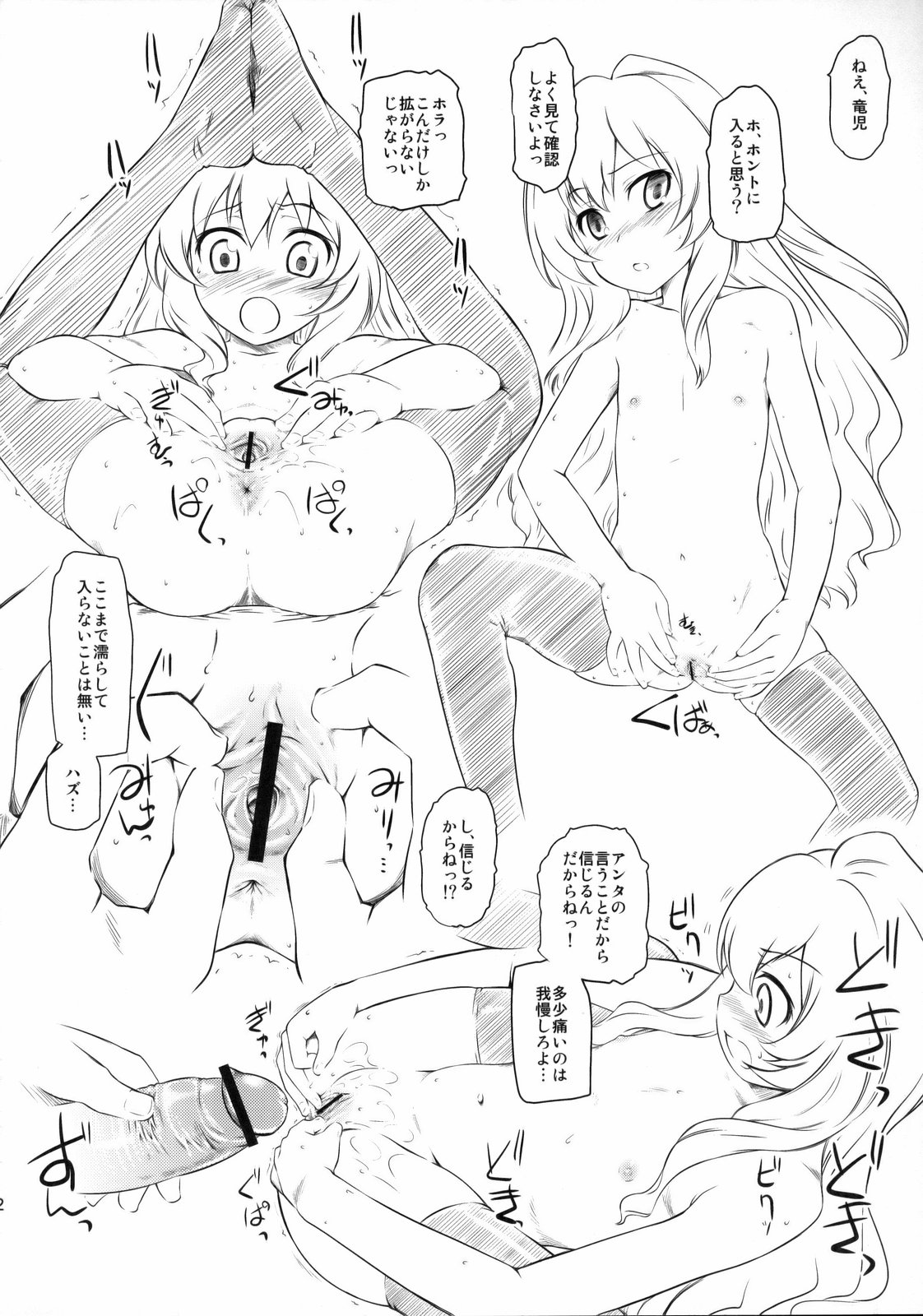 Mini Taiga page 11 full