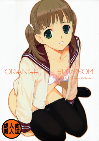 (C73) [Lily Lily Rose (Mibu Natsuki)] ORANGE BLOSSOM cover