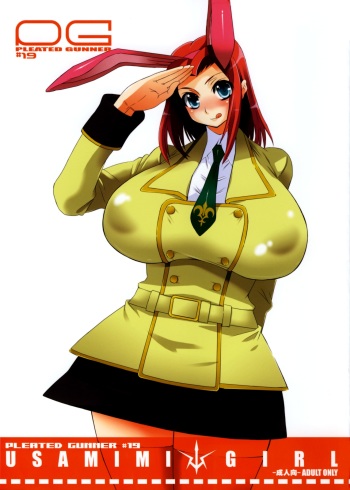 (C75) [HGH (HG Chagawa)] Pleated Gunner #19 - Usamimi Girl (Code Geass) cover