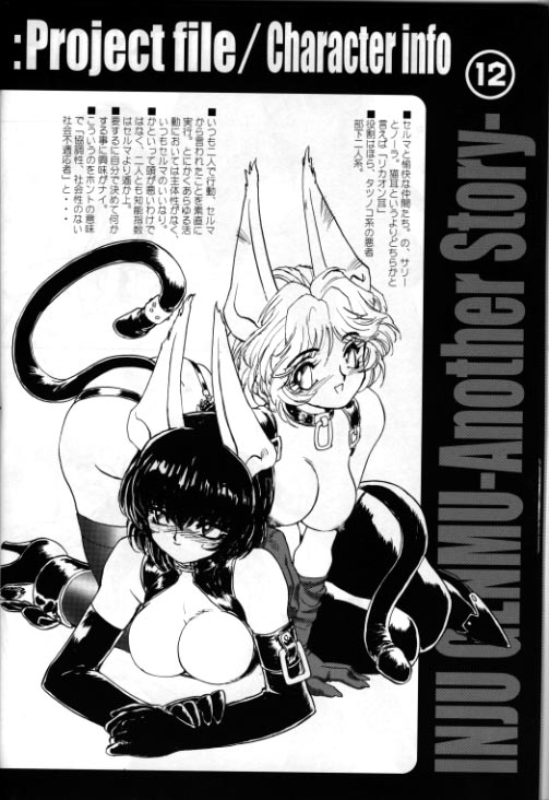 A WORKS THIRD Injuu Genmu Another Story Project File page 11 full