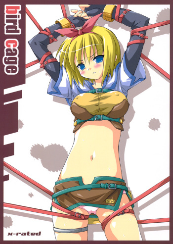 (C67) [Dr. VERMILION (Petenshi)] Bird Cage (Ragnarok Online) cover