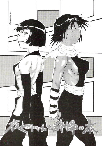 [Great.Dadan (Seijirou Kagechika)] Yoruichi Nyan to Soi Fon no Hon (Bleach) [English] [SaHa] cover