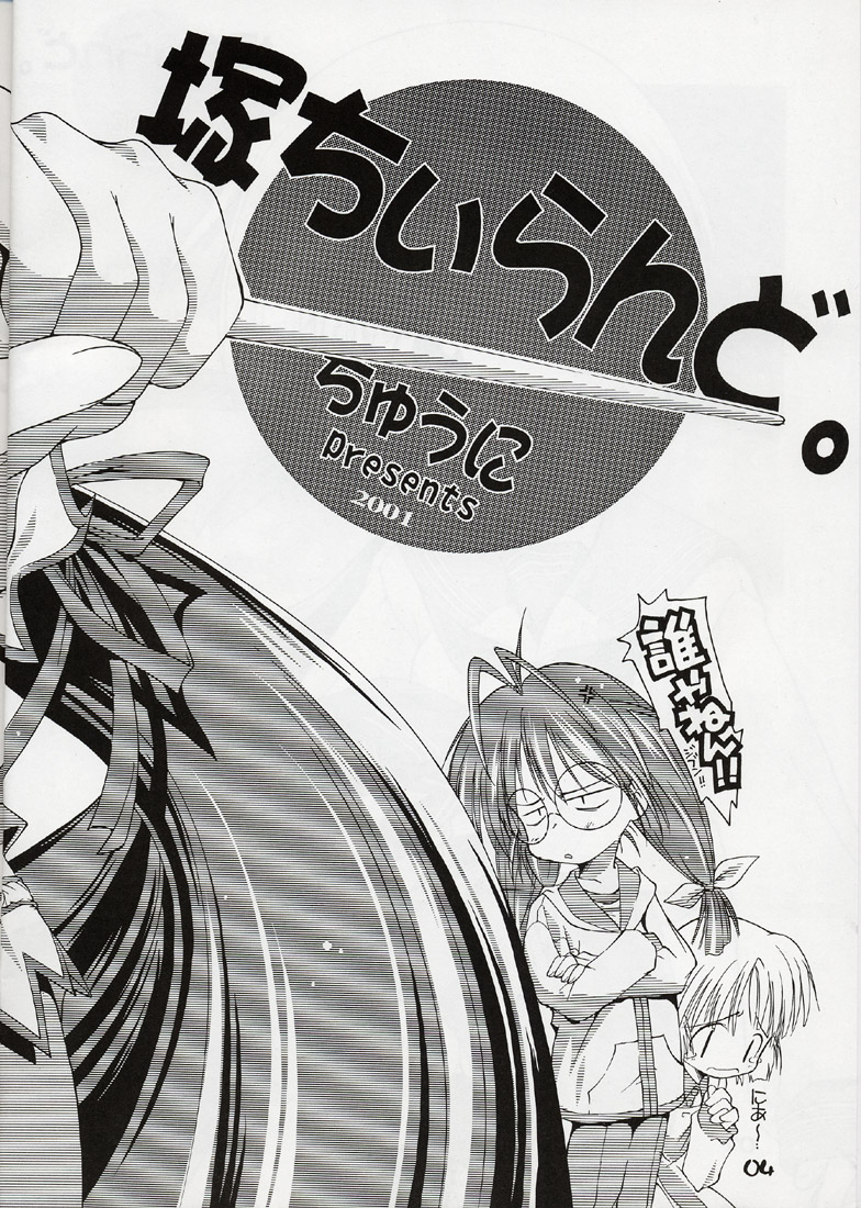 Tsuka chii Land page 3 full