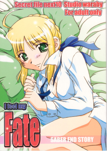 (C66) [Studio Wallaby (Takana Yu-ki)] Secret file next 10 - I feel my Fate (Fate/stay night) cover