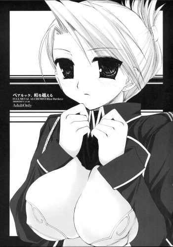 (SC24) [D.N.A.Lab. (Miyasu Risa)] Pair Look, Touge o Koeru (Fullmetal Alchemist) cover