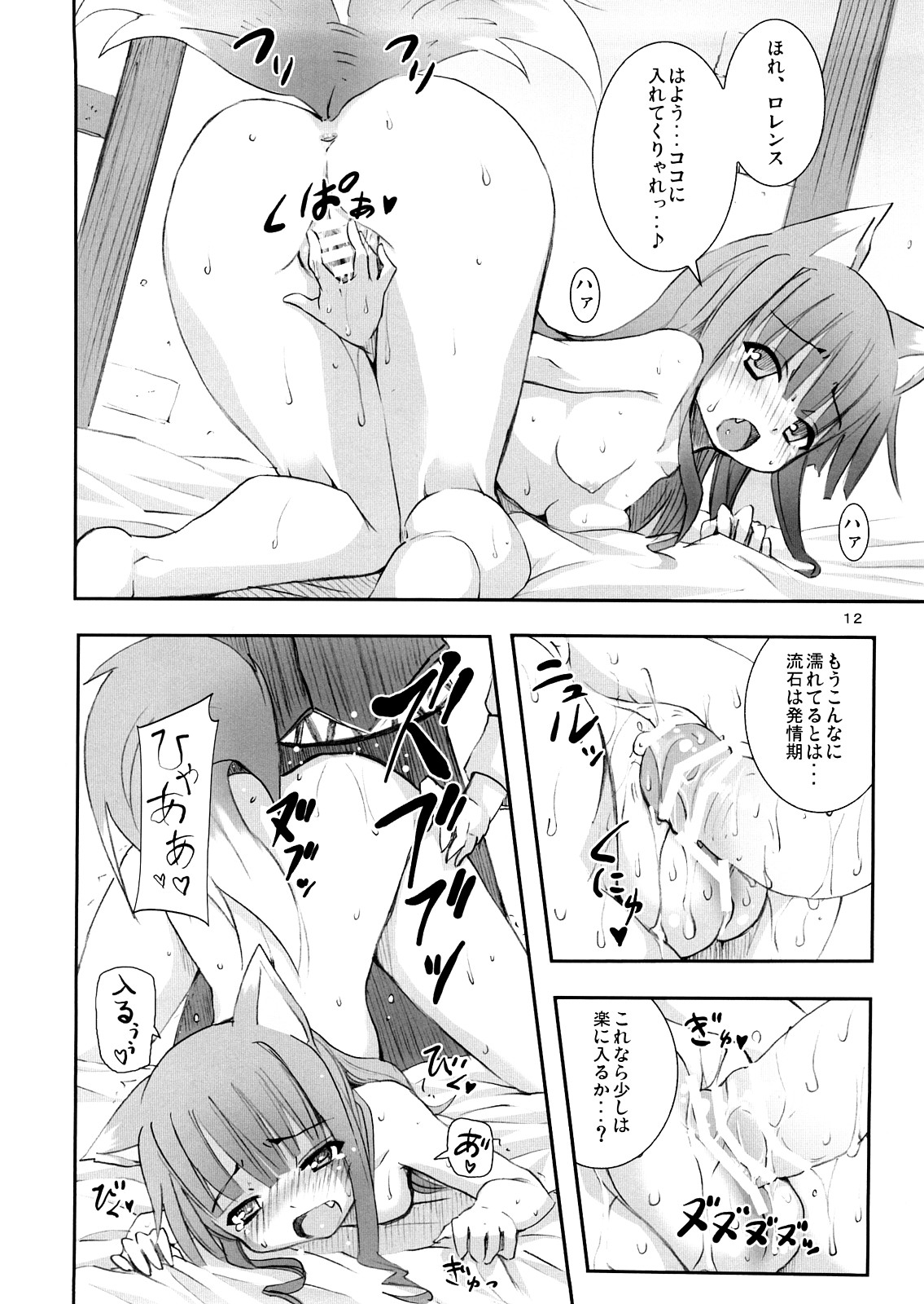 Ookami to Ookamiotoko page 12 full