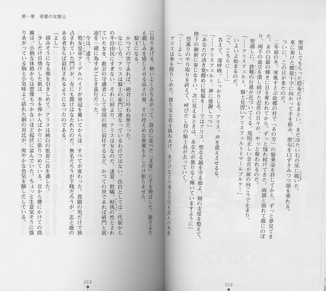 Shiro no Rakuin I page 11 full