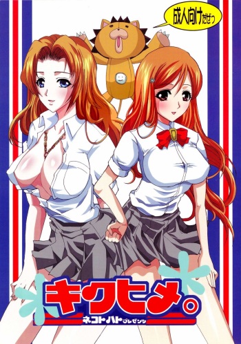 (Kyonyuukko 4) [Neko to Hato (Hatoya Mameshichi)] Kiku Hime. (BLEACH) cover