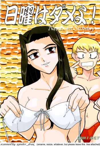 (CR33) [T2 Unit, MAD MAC] Nichiyou Wa Dame Yo! ! Never on Sunday (Tenchi Muyo GXP) cover