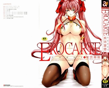 [Shinonome Maki] ERO CARTE cover