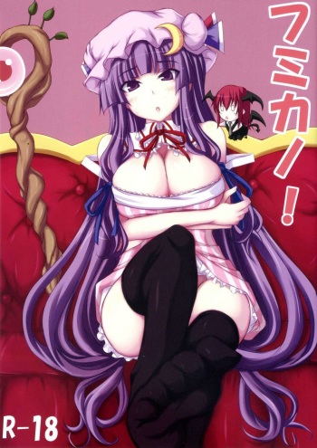 (Suukeisai) [Ruciedo (jema)] Fumikano! (Touhou Project) cover