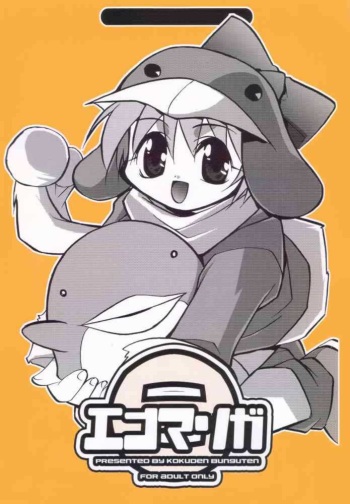 Ecoco Kokuden cover