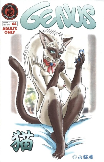 Genus 64 cover
