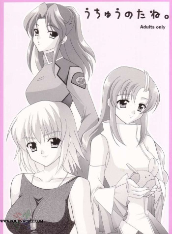 (CR33) [Teruo Haruo (Kanekiyo Miwa)] Uchu no Tane. (Gundam SEED) [English] cover