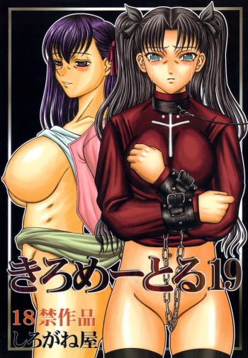 (C67) [Shiroganeya (Ginseiou)] Kilometer 19 (Fate/stay night) cover