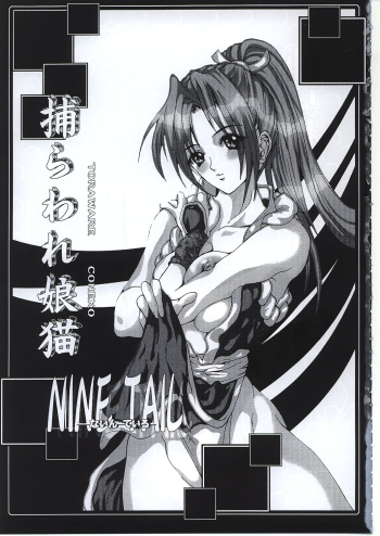 (C62) [NINE TAIL (GRIFON, YaO)] Toraware Koneko (King of Fighters, Dead or Alive) cover
