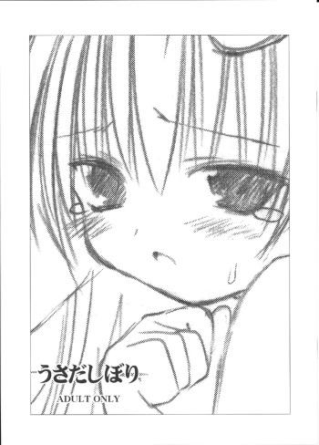 (USA4) [Mizukidou (Mizuki Takehito)] Usada Shibori (Di Gi Charat) cover