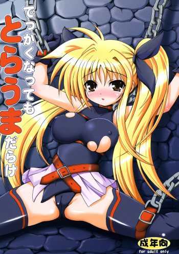 (C73) [Kurubushi-kai (Dowarukofu)] Dekkaku Natte mo Trauma Darake (Mahou Shoujo Lyrical Nanoha) cover