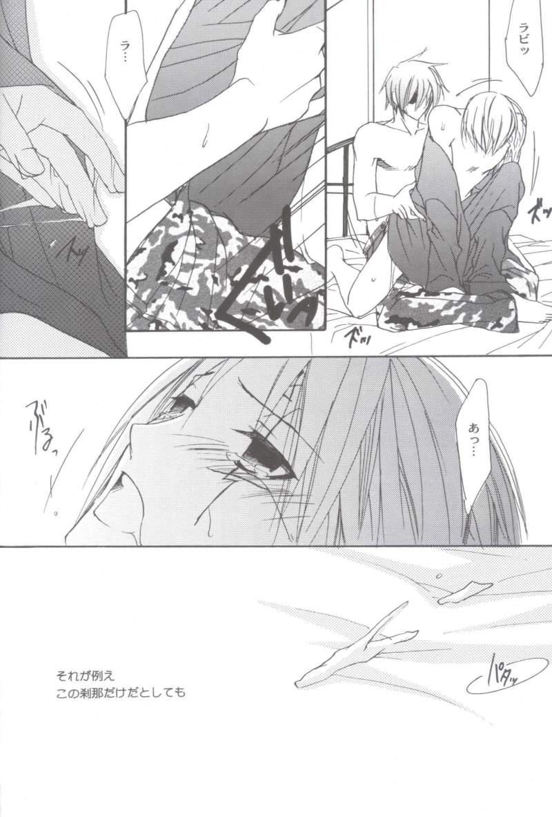 anthurium page 11 full