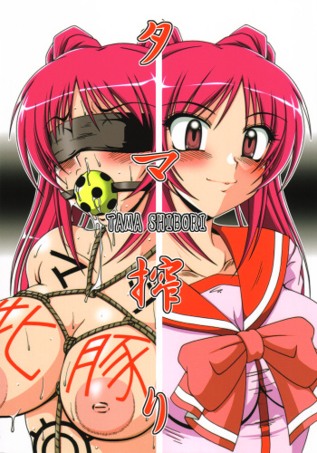(C69) [Hakueki Shobou (A-Teru Haito)] Tama Shibori (ToHeart 2) cover