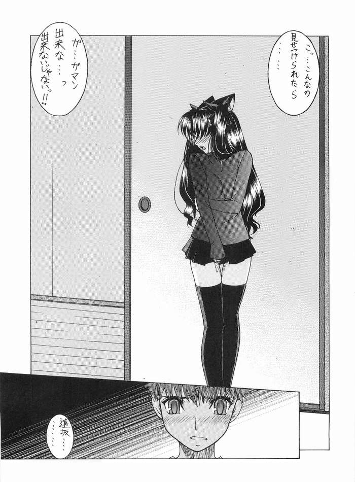Nekomimi Fate 2 page 11 full