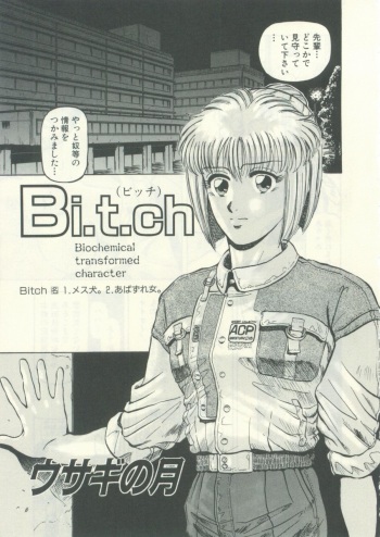 Usagi no Tsuki - Bi.t.ch cover