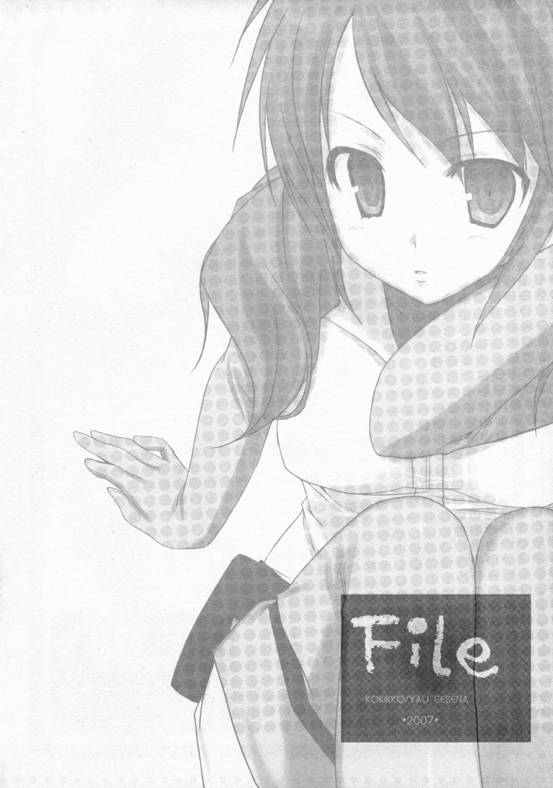 File page 8 full