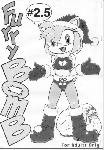 (C67) [Furry Bomb Factory (Karate Akabon)] Furry BOMB #2.5 (Sonic the Hedgehog) cover
