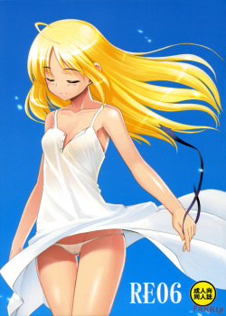 RE 06