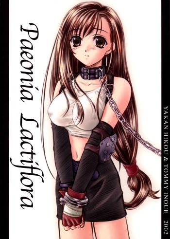 (CR31)[Yakan Hikou (Inoue Tommy)] Paeonia Lactiflora (Final Fantasy VII) cover