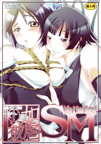 (CCOsaka61) [PLECO (Chikiko)] Kagyaku Higyaku ~Tsuki no nai Sora~ (BLEACH) cover