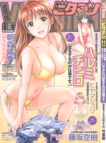 Monthly Vitaman 2007-11 cover
