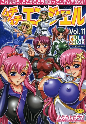 [Muchi Muchi 7 (Hikami Dan, Terada Zukeo)] Muchi Muchi Angel Vol. 11 (Gundam Seed Destiny) cover