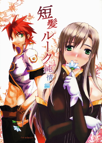 (C72) [Gensou Kuukan (Mizuhara Mei)] Tanpatsu Luke Junjou Hen (Tales of the Abyss) cover
