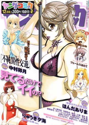 Young Comic 2006-12 cover