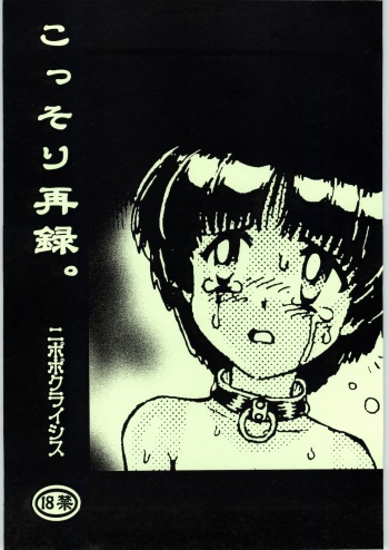 (SC15) [Nipopo Crisis (Genka Ichien)] Kossori Sairoku. cover