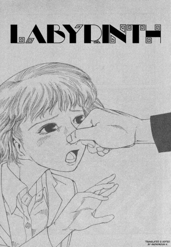 Shintaro Kago - Labyrinth [ENG] cover