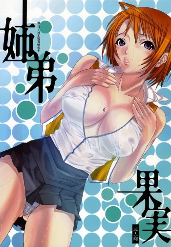 (C68) [Chika Sekai (Palco Nagashima)] Kyoudai Kajitsu (Mai-HiME) cover