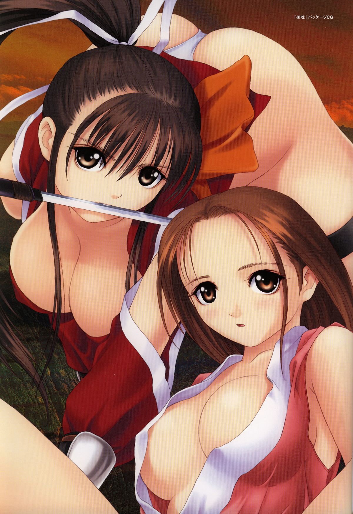 Tony WORKS Mitama ~Shinobi~ / ARCANA ~Hikari to Yami no Ekstasis~ Nisakuhin Gengashuu page 11 full