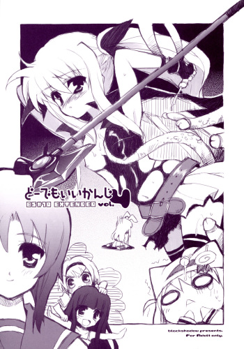 (C70) [Black Shadow (Sacchi)] BS#10 EXTENDED Do demo ii kanji vol.4 (Mahou Shoujo Lyrical Nanoha) cover