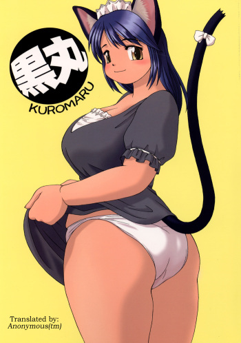 (CR35) [Aa, Warera Katou Hayabusa Sentoutai (Katou)] Kuromaru [English] cover