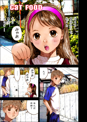 [Nakamura Mizumo] Cat Food cover