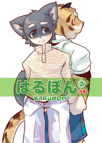 (C69) [Harugoya (Harusuke)] Harubon 2 [English] [Dragon Ranger] [Decensored] cover