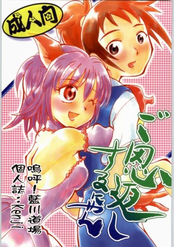 (C63) [Aa! Aikawa Dojo (Kenji)] Goongaeshi Suru Nyan (Tokyo Mew Mew) cover