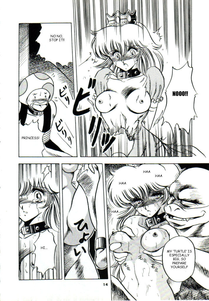 Super Mario Collection page 11 full