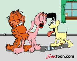 eclipse's cache - Garfield