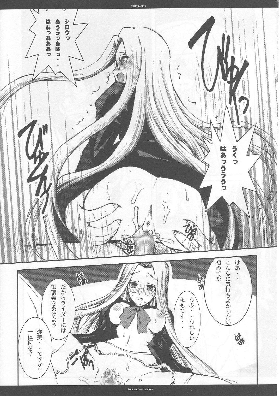 THE SAGE 3 page 12 full