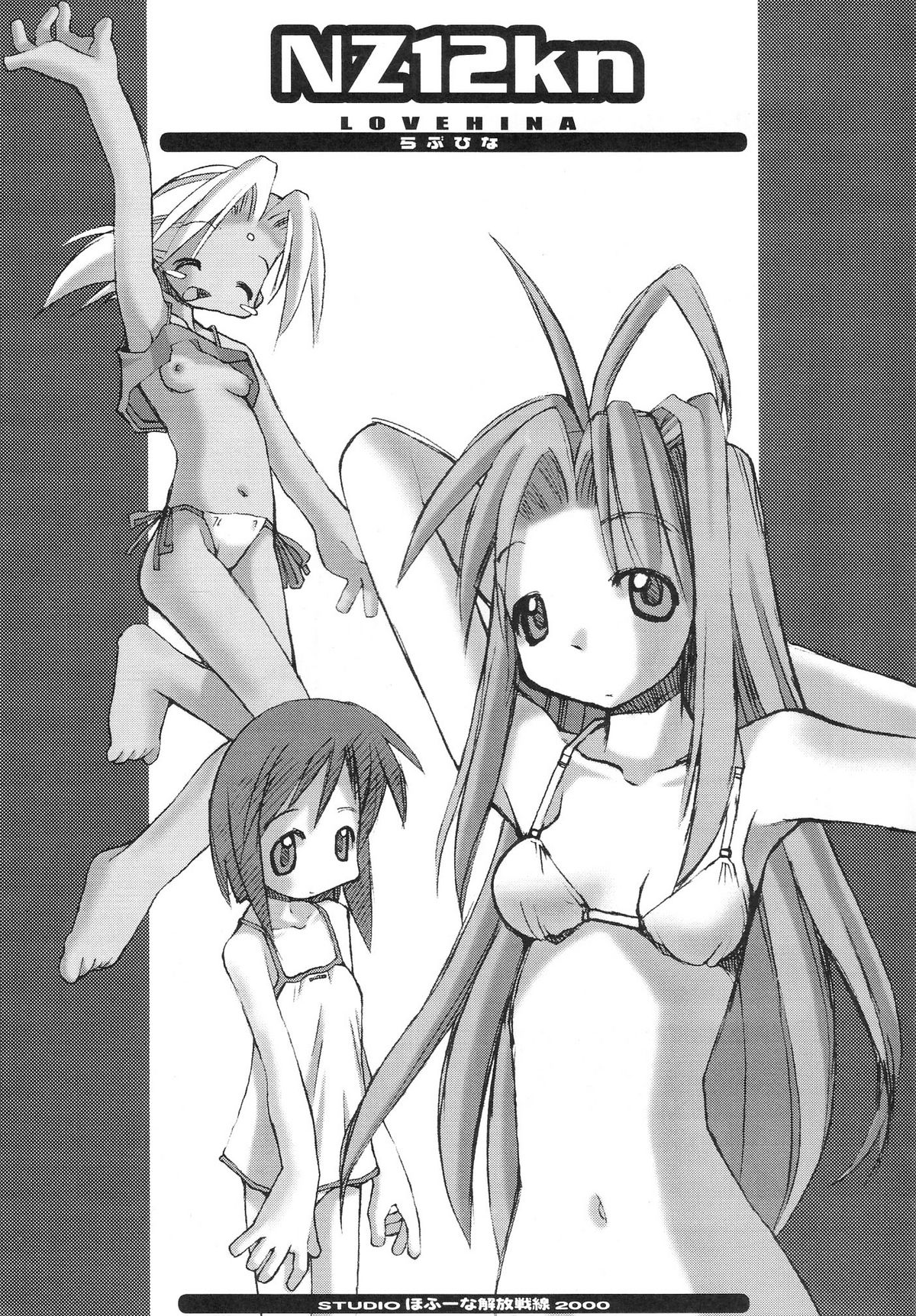 NZ12kn page 4 full